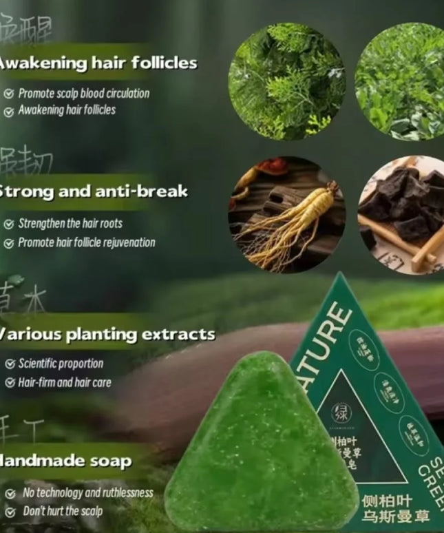 Nature Herbal Triangle Platycladus Usman Grass Shampoo Bar