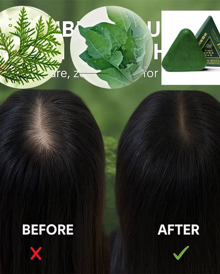 Nature Herbal Triangle Platycladus Usman Grass Shampoo Bar